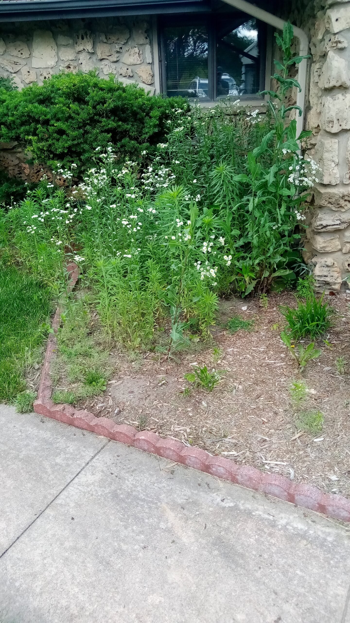 AGT property service project Wichita KS