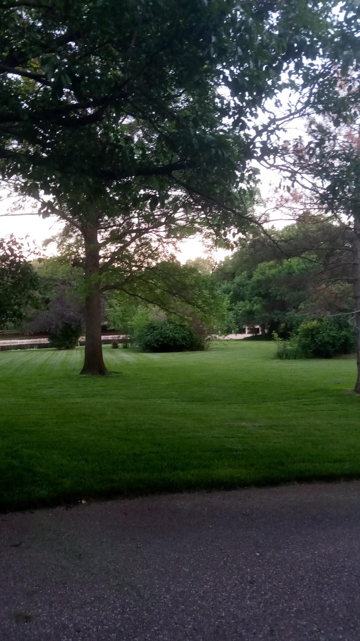 Landscaping and hardscape installation Wichita